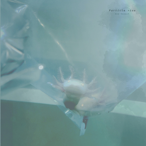 小乔裸乳被爆❌动漫小说
